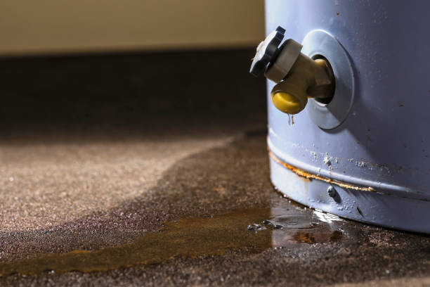 Best Flood damage cleanup  in Eldridge, IA