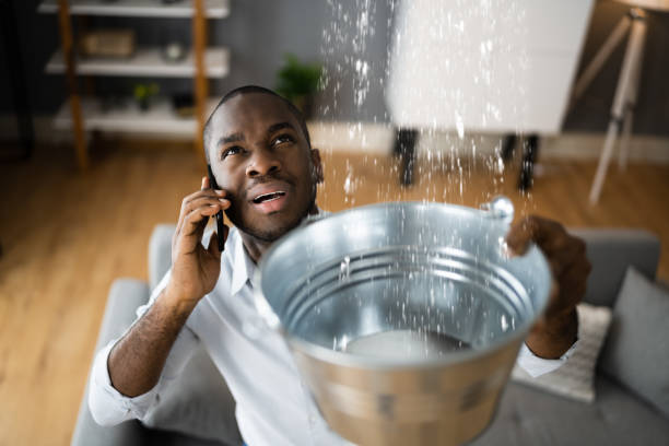 Best Residential water damage restoration  in Eldridge, IA