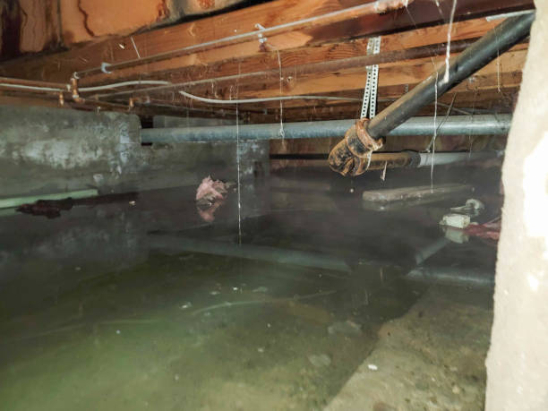 Water damage restoration insurance claims in IA