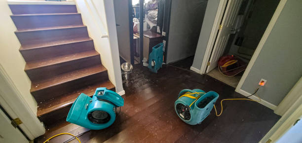 Best Local water damage restoration  in Eldridge, IA
