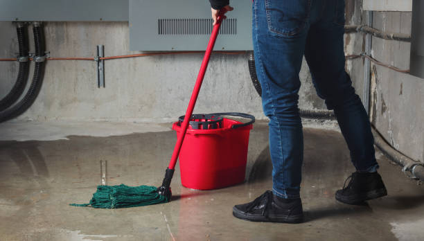 Best Commercial water damage restoration  in Eldridge, IA