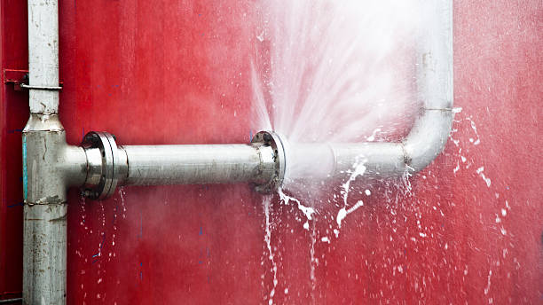 Best Flood restoration services  in Eldridge, IA