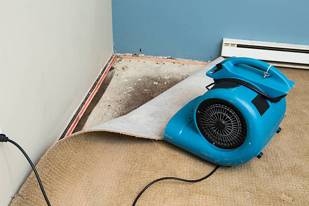 Best Flood damage cleanup  in Eldridge, IA